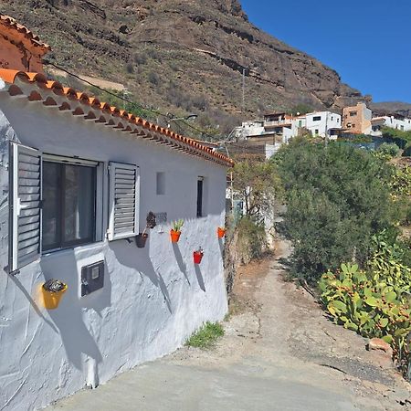 Casa Rural Los Pinares El Juncal De Tejeda Exteriér fotografie
