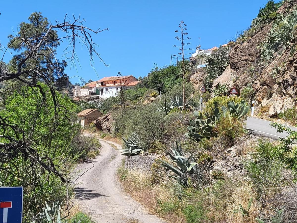 Casa Rural Los Pinares El Juncal De Tejeda Exteriér fotografie