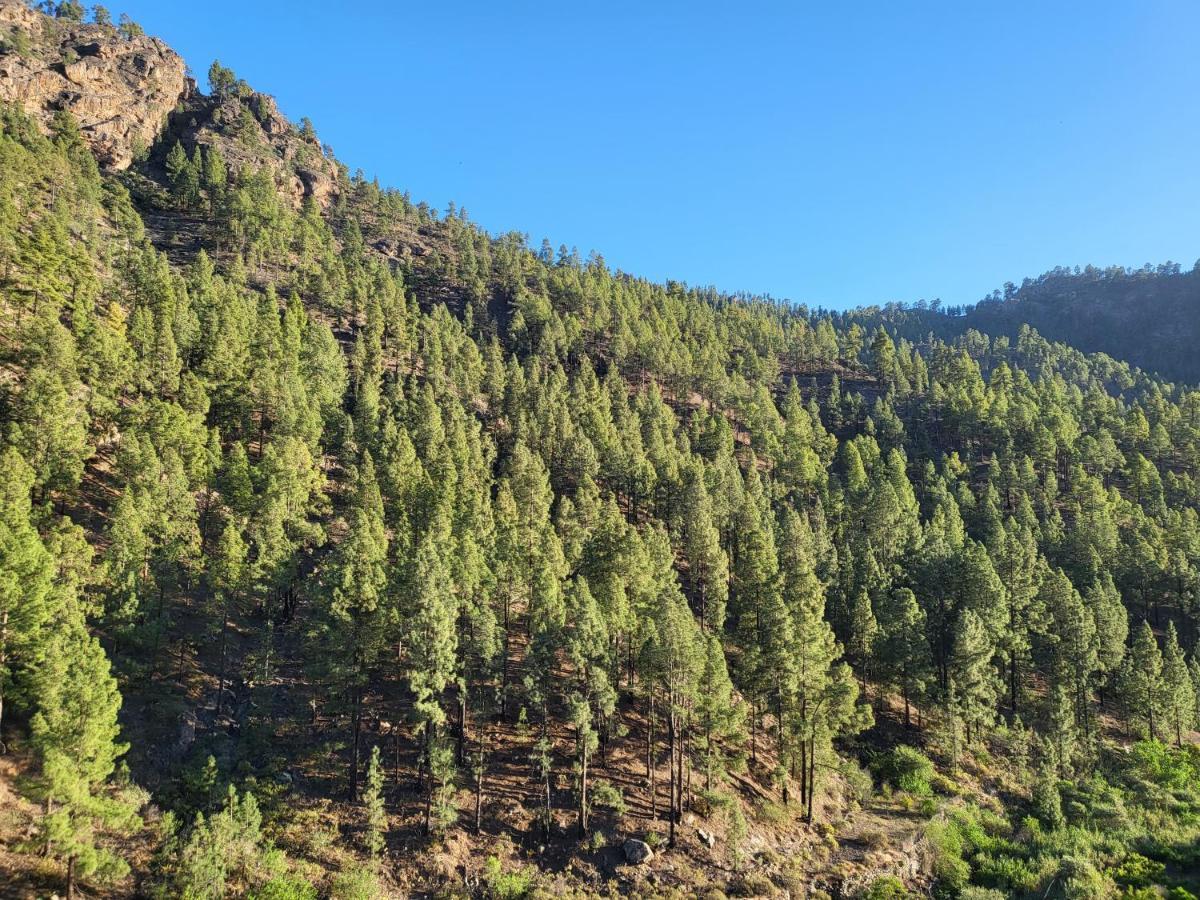 Casa Rural Los Pinares El Juncal De Tejeda Exteriér fotografie
